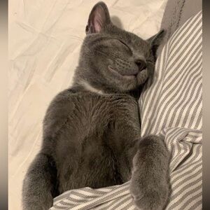 Meet your Posher, Aidan